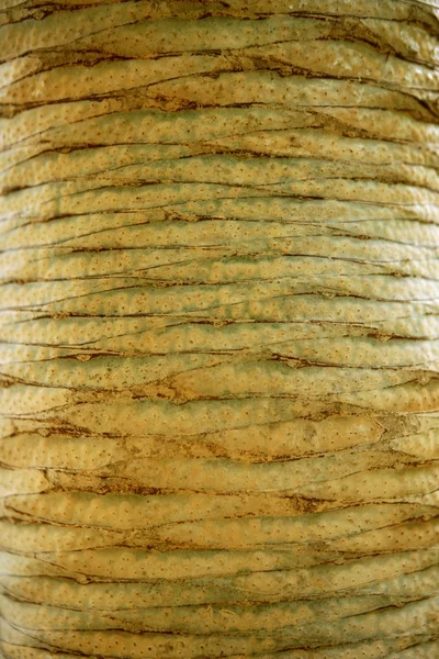 Фон текстуры коричневого дерева — стоковое фото