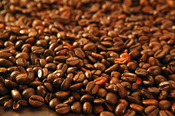 Kávová zrna v teplé zlaté hnědé pozadí — Stock fotografie
