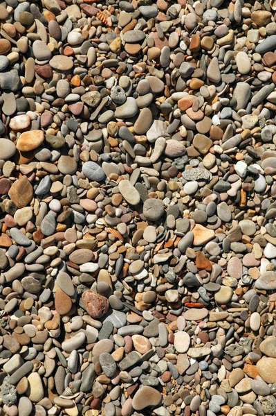 Struttura di sfondo di piccole pietre dalla spiaggia — Foto Stock