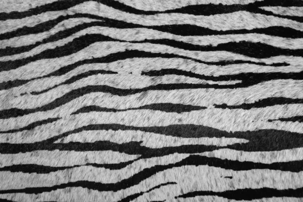 Imitação zebra couro textura fundo — Fotografia de Stock