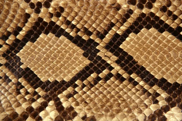 Achtergrond slang huid patroon bruin — Stockfoto