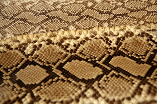 Fondo serpiente patrón de piel marrón —  Fotos de Stock
