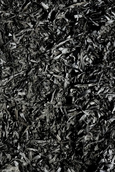 Suchy tekstura śródziemnomorskiej glony, wodorosty — Zdjęcie stockowe