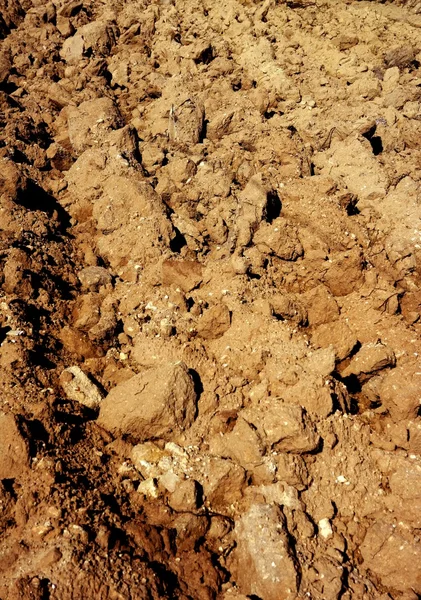 Campo de agricultura arcilla roja textura del suelo — Foto de Stock