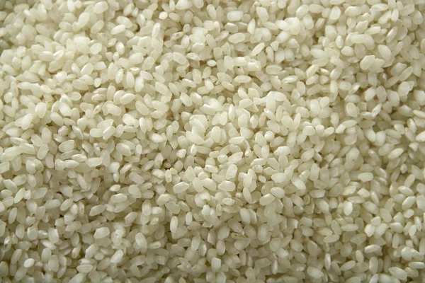 Білий рис крупним планом текстура. Візерунок тла — стокове фото