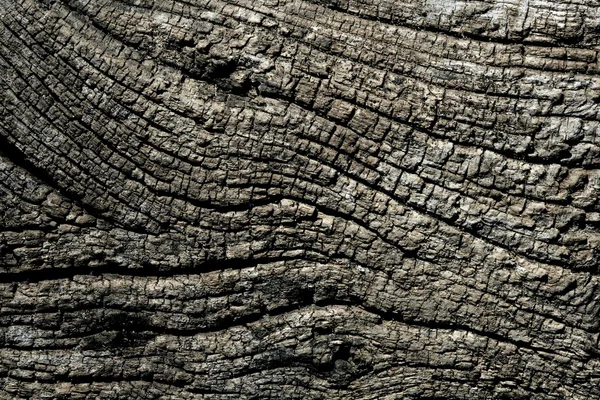 stock image Aged gray wood macro texture for background