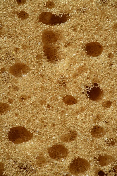Sponge texture background, macro detail of surface — Stock Photo, Image