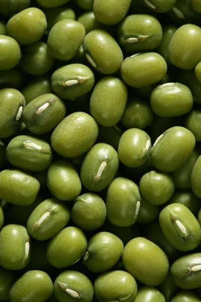 Green soya beans texture — Stock Photo, Image