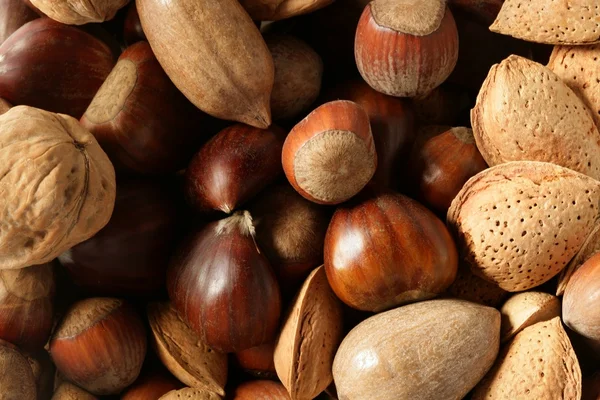 Blanda nötter, valnötter, pecam hasselnöt, mandel, kastanj — Stockfoto
