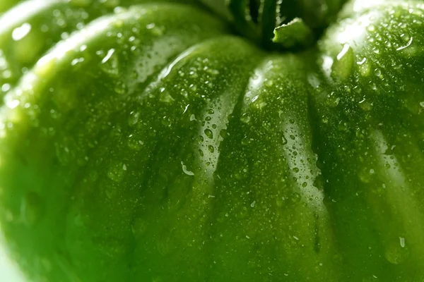 Un pomodoro verde — Foto Stock