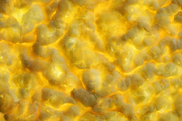 옥수수 노란색 크래커 비스킷 질감 배경 — 스톡 사진