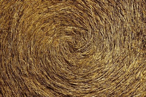 Giallo paglierino rotoballa, macro texture sfondo — Foto Stock