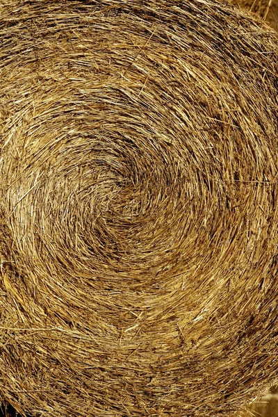 Yellow straw round bale, macro texture background — Stock Photo, Image