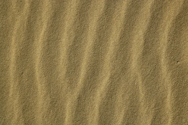 Ondulado mar playa arena textura en sol — Foto de Stock