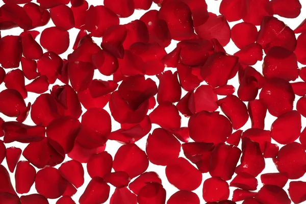 红色的玫瑰花瓣纹理背景 — 图库照片
