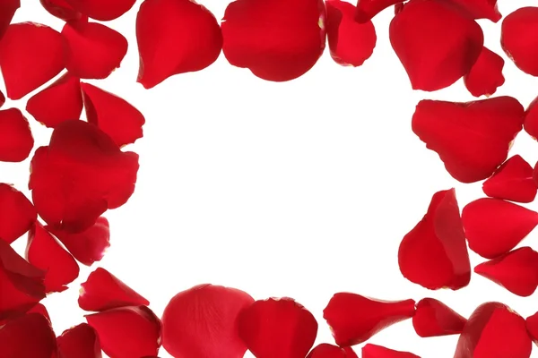 Czerwone płatki róż ramki granicznej, czarno-białych przestrzeni — Zdjęcie stockowe