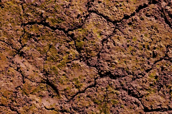 ひびの入った赤い粘土自然土壌の乾燥 — ストック写真