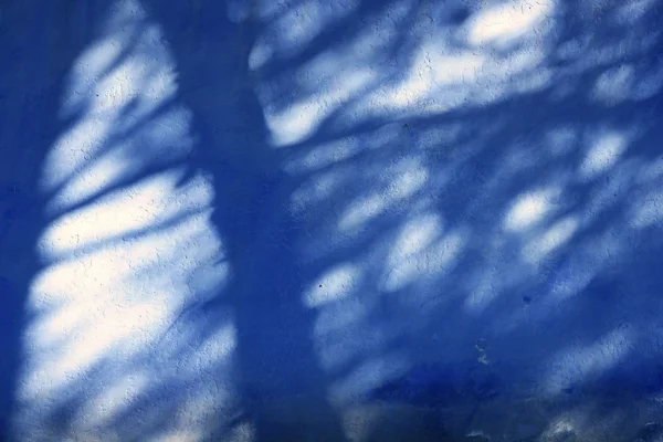 Grunge blu mediterraneo giardino ombre parete — Foto Stock