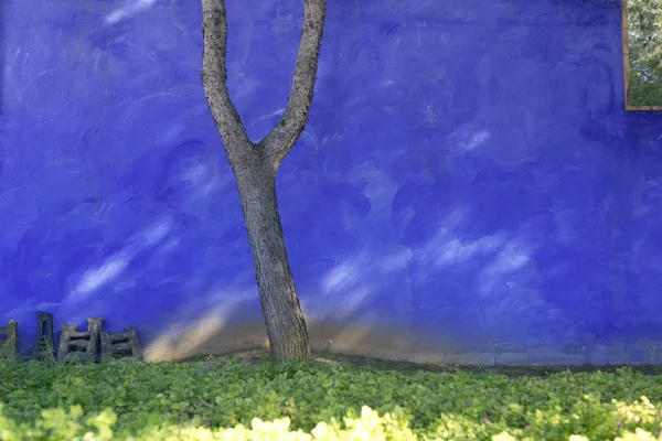 Grunge blue mediterranean garden wall shadows — Stock Photo, Image