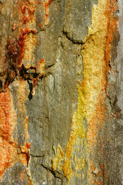 돌 이끼 텍스처 황금, 빨강, 노랑, 주황색 — 스톡 사진