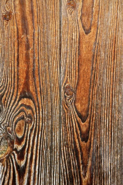 岁老木材纹理，古代的木质门 — 图库照片