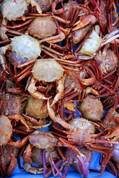 Krabbe aus dem Mittelmeer, Strukturmuster — Stockfoto