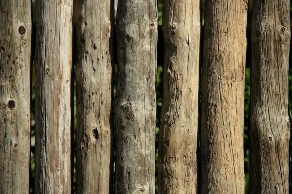 Bois naturel troncs rayés mur, clôture, architecture traditionnelle en bois — Photo
