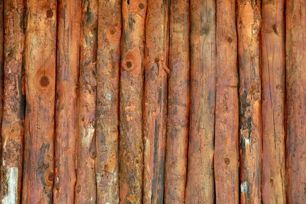 Texture verticale du mur des troncs en bois — Photo
