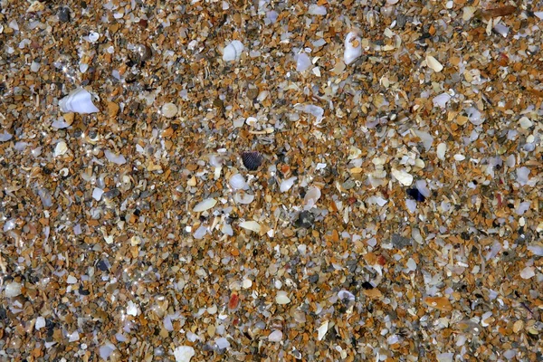 海岸線のぬれた石パターン背景 — ストック写真