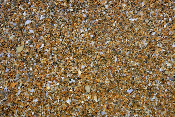 Küste nassen Steinen Muster Hintergrund — Stockfoto