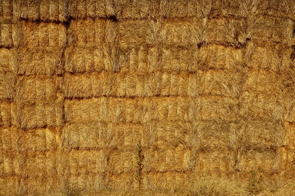 Mısır gevreği ahır ile kare şekli yığın sütun üzerinde — Stok fotoğraf