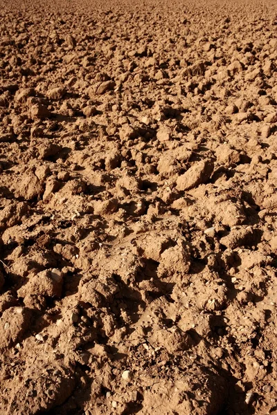 Clay red agriculture textured soil — Stock Photo, Image