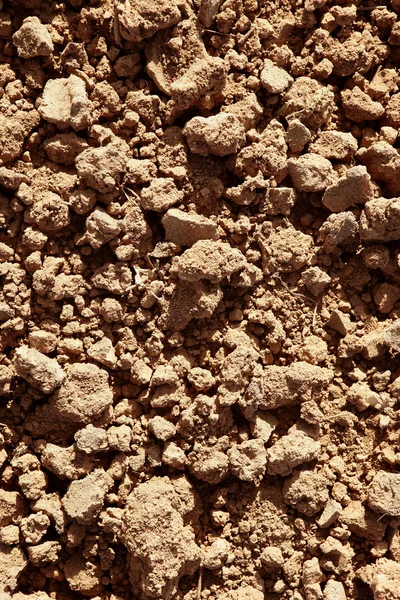 Clay red agriculture textured soil — Stock Photo, Image