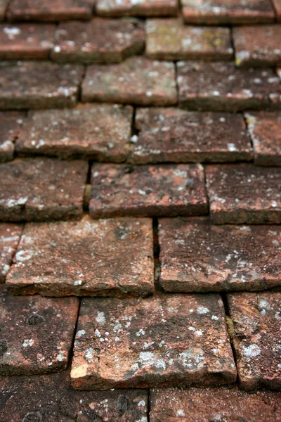 Architectural grunge aged roof clay tiles — Stock Photo, Image