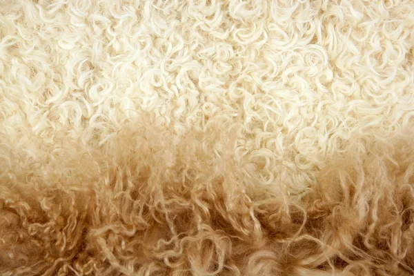 Lã de cordeiro macro textura closeup cor creme — Fotografia de Stock