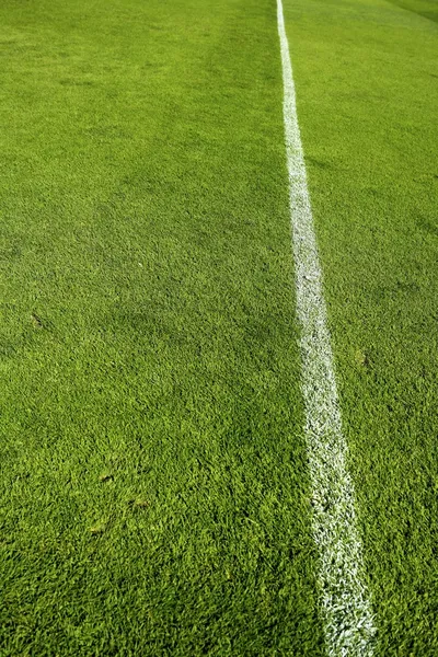 Fotbal trávy pole tábor textury wite linie — Stock fotografie