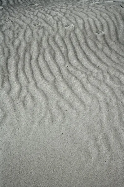 Випробування піщаних хвиль на білих пісках, як пустеля — стокове фото