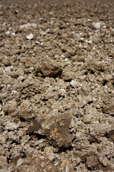 粘土土の視点を耕す農業プラウ — ストック写真