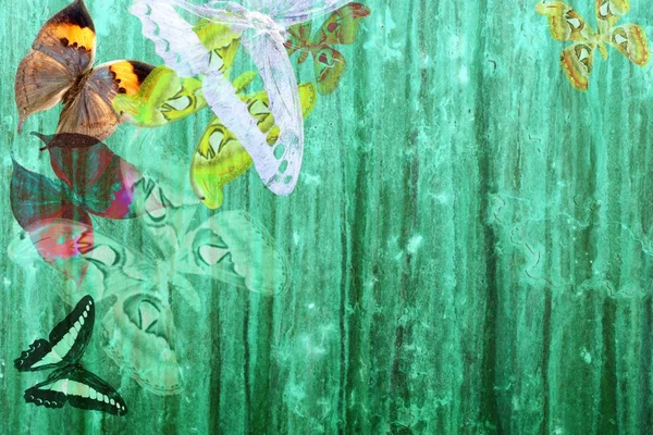 Гранжевий зелений кольоровий фон з метеликами — стокове фото