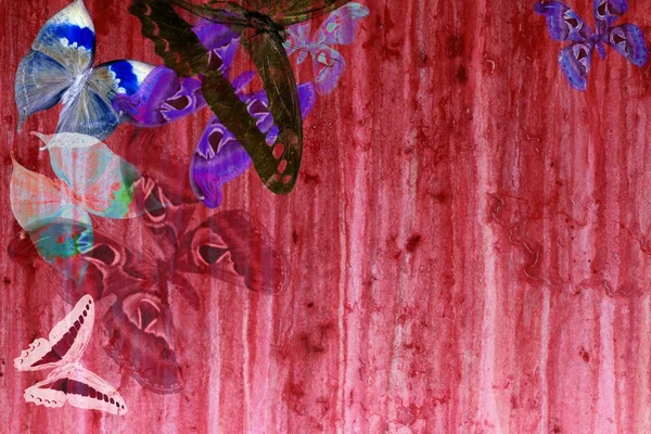 Grunge kırmızı rengi arka planla kelebekler — Stok fotoğraf