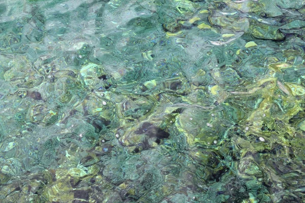 Colorful green sea rocky shore transparent — Stock Photo, Image