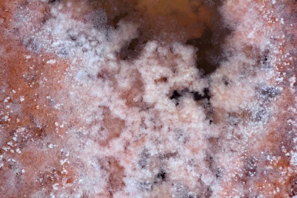 Ses salines formentera solivar sůl textury — Stock fotografie