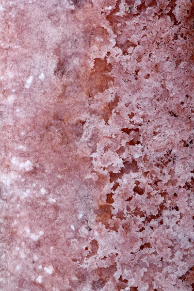 Ses salines formentera solivar sůl textury — Stock fotografie