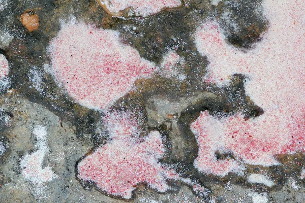 Roze zand textuur over rots in formentera strand — Stockfoto