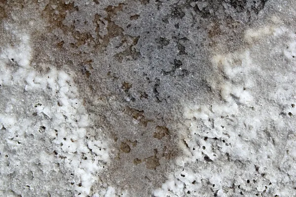 Макротекстура соли в солончаках — стоковое фото