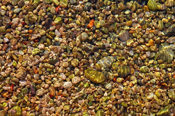 Πολύχρωμο κοράκι θάλασσα κάτω μοτίβο — Φωτογραφία Αρχείου