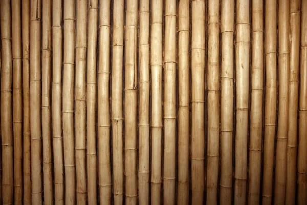 Bambu linha de cana arranjo fundo — Fotografia de Stock