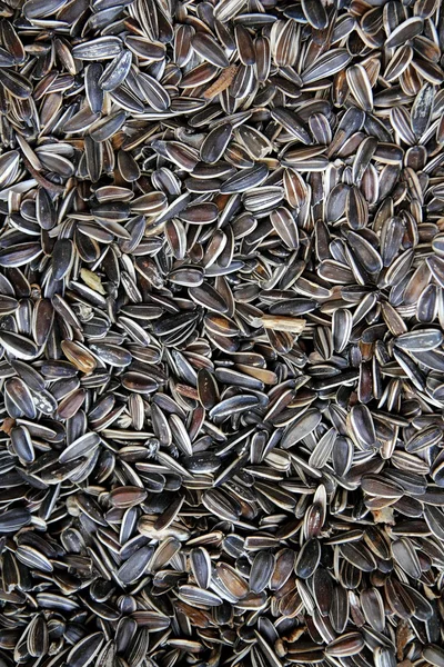 Padrão de semente de girassol fundo alimentar — Fotografia de Stock