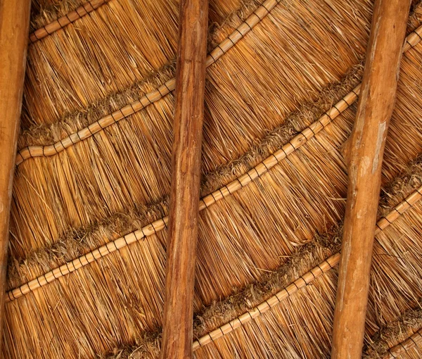Palapa 热带墨西哥木小木屋屋顶详细信息 — 图库照片