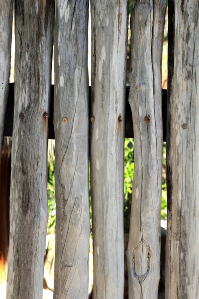 スティック白い木トランク フェンス トロピカル マヤ壁 — ストック写真